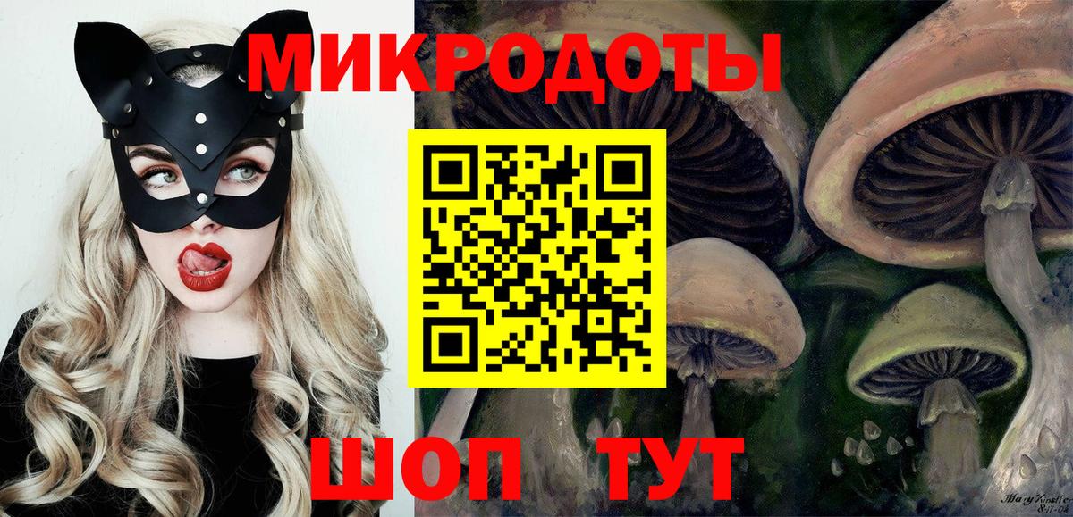 Вичуга  Галлюциногенные грибы Cubensis  Вход с VPN 