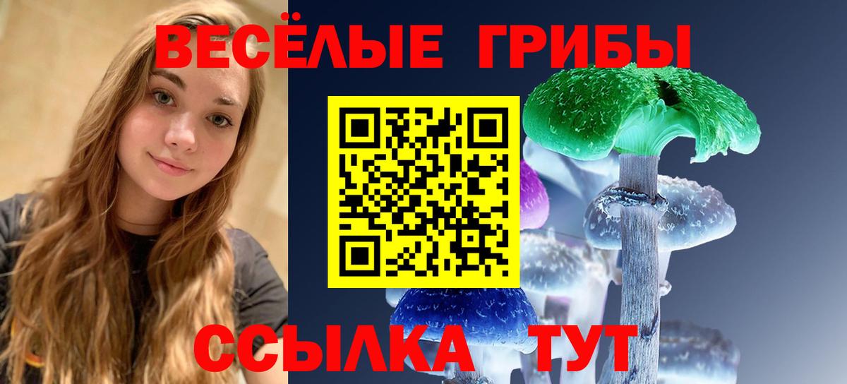 Галлюциногенные грибы Psilocybine cubensis Вичуга